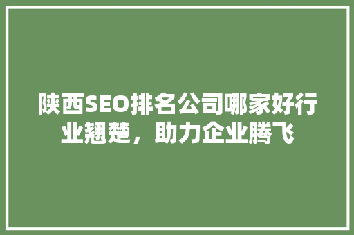陕西SEO排名公司哪家好行业翘楚，助力企业腾飞