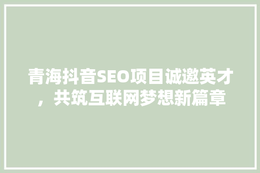 青海抖音SEO项目诚邀英才，共筑互联网梦想新篇章