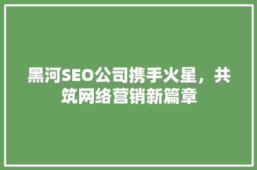 黑河SEO公司携手火星，共筑网络营销新篇章