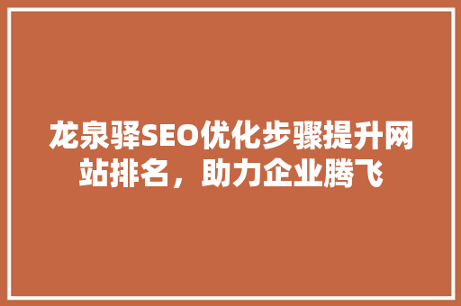 龙泉驿SEO优化步骤提升网站排名，助力企业腾飞