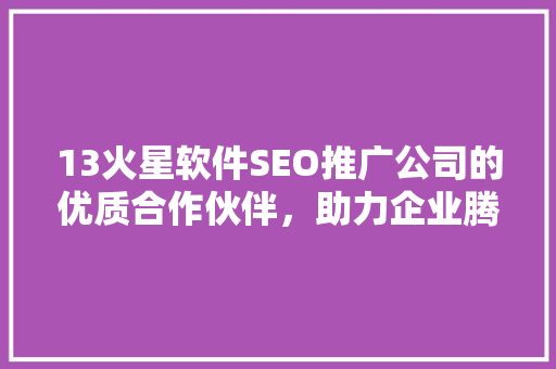 13火星软件SEO推广公司的优质合作伙伴，助力企业腾飞