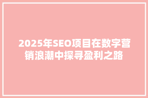 2025年SEO项目在数字营销浪潮中探寻盈利之路