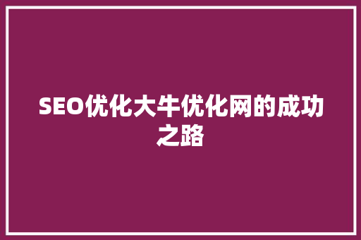 SEO优化大牛优化网的成功之路