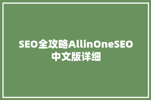 SEO全攻略AllinOneSEO中文版详细  第1张