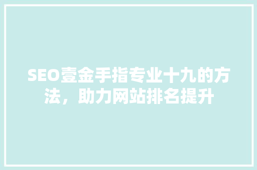 SEO壹金手指专业十九的方法，助力网站排名提升