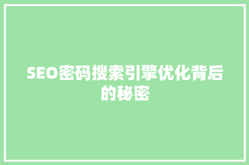 SEO密码搜索引擎优化背后的秘密