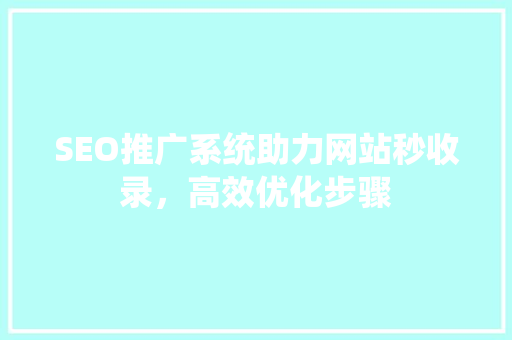 SEO推广系统助力网站秒收录，高效优化步骤