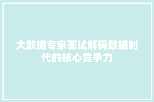 大数据专家面试解码数据时代的核心竞争力
