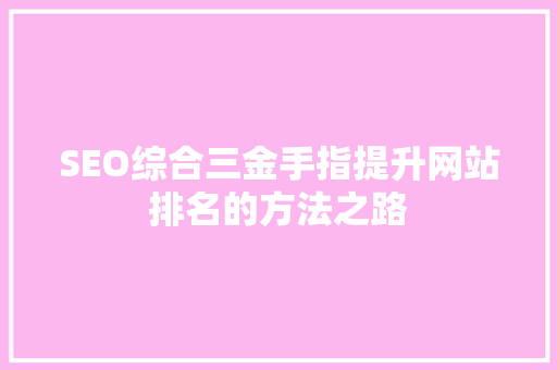 SEO综合三金手指提升网站排名的方法之路