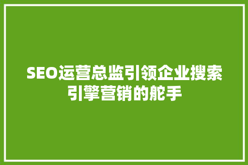 SEO运营总监引领企业搜索引擎营销的舵手
