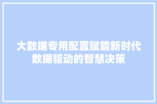 大数据专用配置赋能新时代数据驱动的智慧决策