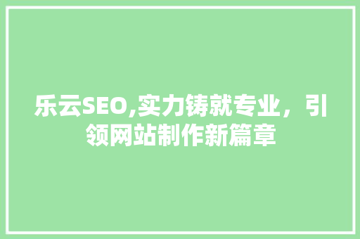 乐云SEO,实力铸就专业，引领网站制作新篇章