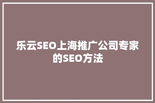 乐云SEO上海推广公司专家的SEO方法