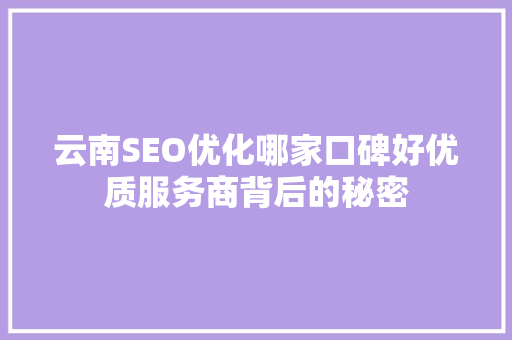 云南SEO优化哪家口碑好优质服务商背后的秘密