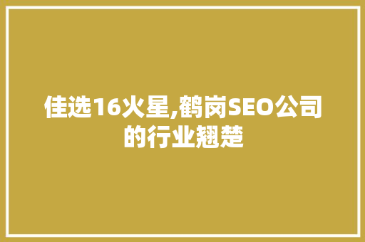 佳选16火星,鹤岗SEO公司的行业翘楚