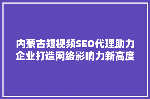 内蒙古短视频SEO代理助力企业打造网络影响力新高度