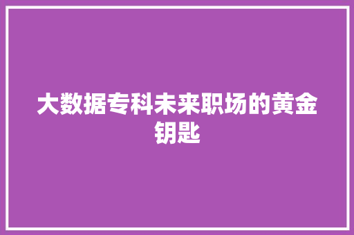 大数据专科未来职场的黄金钥匙  第1张