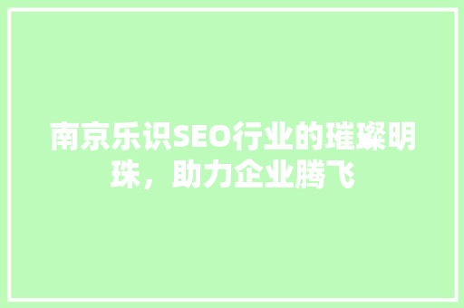 南京乐识SEO行业的璀璨明珠，助力企业腾飞
