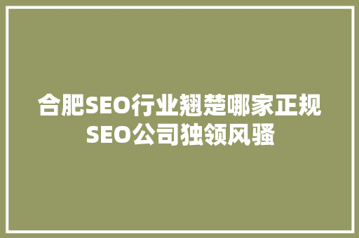 合肥SEO行业翘楚哪家正规SEO公司独领风骚