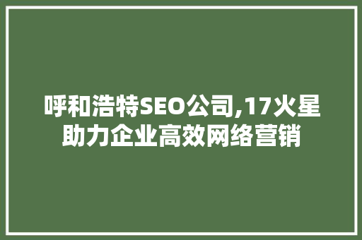 呼和浩特SEO公司,17火星助力企业高效网络营销