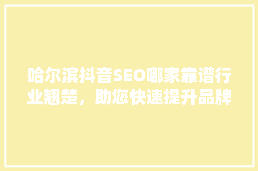 哈尔滨抖音SEO哪家靠谱行业翘楚，助您快速提升品牌影响力