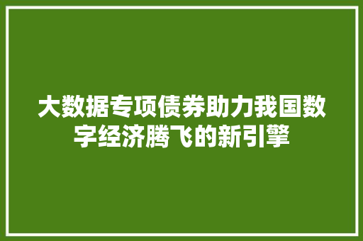 大数据专项债券助力我国数字经济腾飞的新引擎