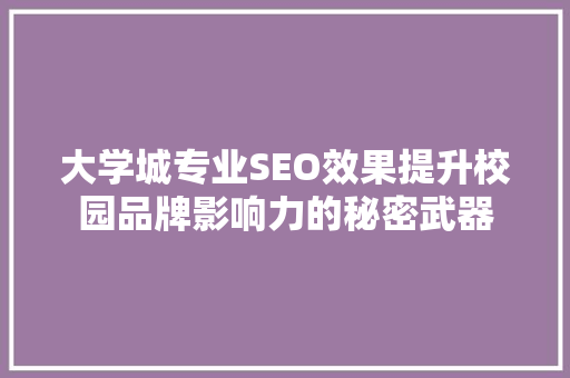 大学城专业SEO效果提升校园品牌影响力的秘密武器