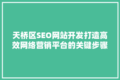 天桥区SEO网站开发打造高效网络营销平台的关键步骤