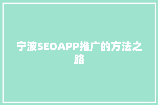 宁波SEOAPP推广的方法之路