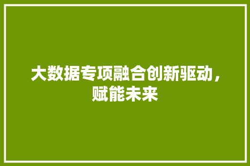 大数据专项融合创新驱动，赋能未来