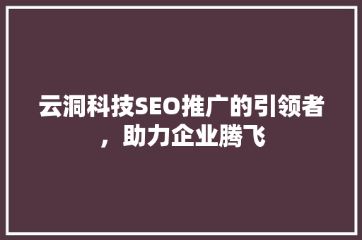 云洞科技SEO推广的引领者，助力企业腾飞