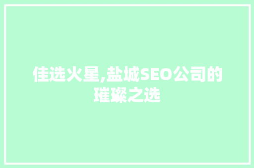 佳选火星,盐城SEO公司的璀璨之选