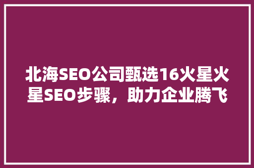 北海SEO公司甄选16火星火星SEO步骤，助力企业腾飞
