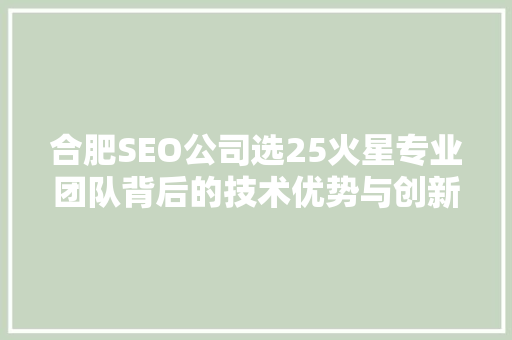 合肥SEO公司选25火星专业团队背后的技术优势与创新方法