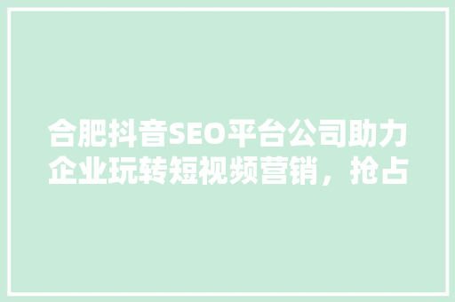 合肥抖音SEO平台公司助力企业玩转短视频营销，抢占流量红利