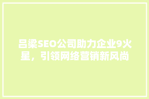 吕梁SEO公司助力企业9火星，引领网络营销新风尚