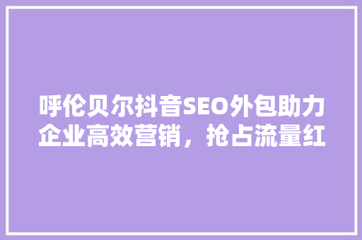 呼伦贝尔抖音SEO外包助力企业高效营销，抢占流量红利  第1张