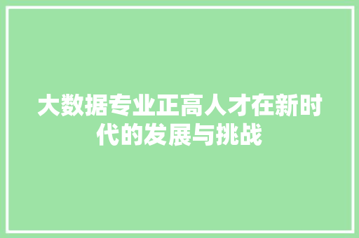 大数据专业正高人才在新时代的发展与挑战