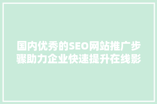 国内优秀的SEO网站推广步骤助力企业快速提升在线影响力  第1张