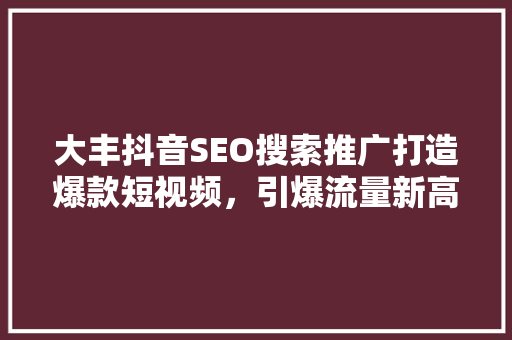 大丰抖音SEO搜索推广打造爆款短视频，引爆流量新高峰