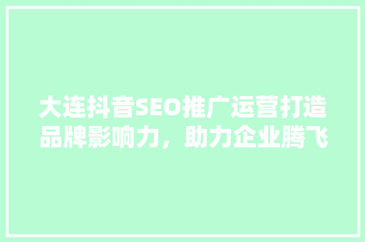大连抖音SEO推广运营打造品牌影响力，助力企业腾飞  第1张