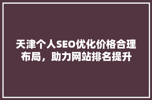 天津个人SEO优化价格合理布局，助力网站排名提升