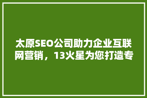 太原SEO公司助力企业互联网营销，13火星为您打造专业服务