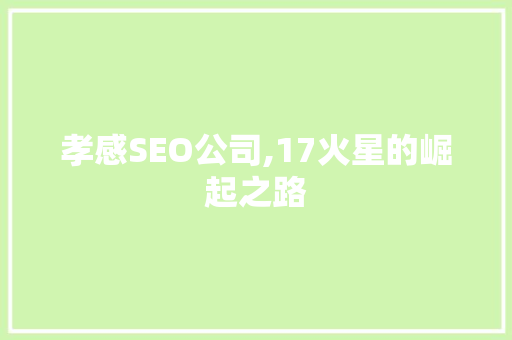 孝感SEO公司,17火星的崛起之路