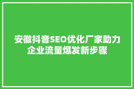 安徽抖音SEO优化厂家助力企业流量爆发新步骤