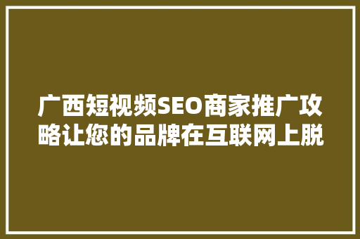 广西短视频SEO商家推广攻略让您的品牌在互联网上脱颖而出