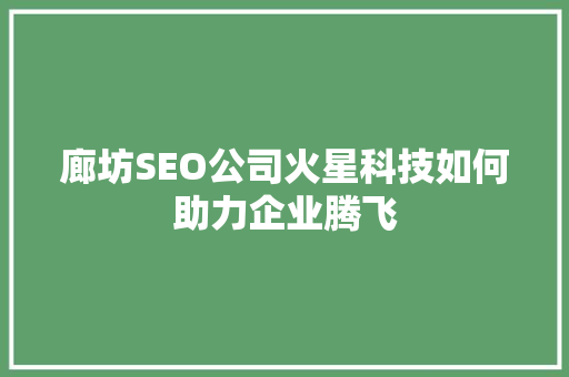 廊坊SEO公司火星科技如何助力企业腾飞