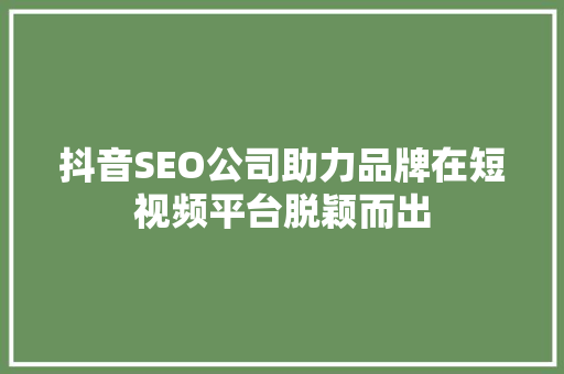 抖音SEO公司助力品牌在短视频平台脱颖而出
