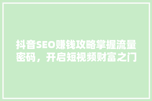 抖音SEO赚钱攻略掌握流量密码，开启短视频财富之门