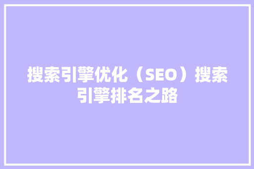 搜索引擎优化（SEO）搜索引擎排名之路
